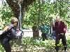 rise (123).jpg